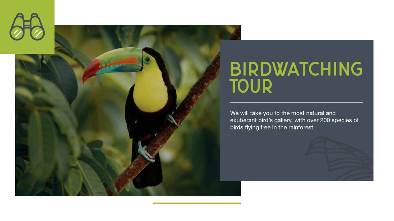 Birdwatching Tours