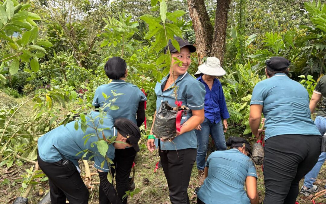 The Sustainability Story Behind Arenal Manoa